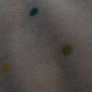 Meet your Posher, Milo